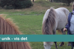Stå ved du er unik og vis det Stå ved du er unik og vis det