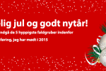 Sådan kan du undgå de 5 hyppigste faldgruber indenfor online markedsføring, jeg har mødt i 2015 Glædelig jul