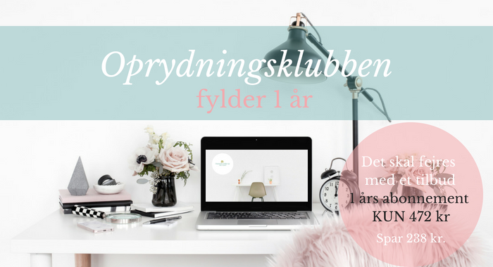 Vi fejrer at oprydningsklubben har 1. års fødselsdag