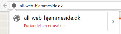 Nu skal din hjemmeside køre https