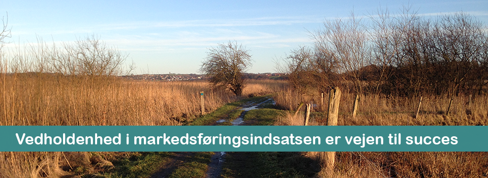 Vedholdenhed i markedsføringsindsatsen er vejen til succes